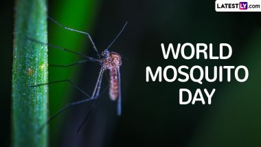 World Mosquito Day 2024 Date, Theme, History and Significance: Everything You Need To Know About the Global Impact of Mosquitoes on Public Health