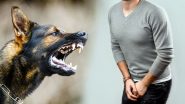 Rabid Dog Attack in Hubballi: Over 30 Injured, 16 Hospitalised; Authorities Face Public Outrage for Negligence