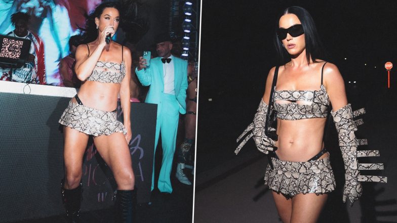 Katy Perry Makes Bold Fashion Statement with Eye-Catching Dress; Says ‘I Do It for the MALE GAYSSSS’ (VIew Pics)