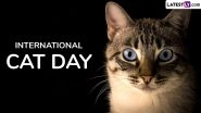 International Cat Day 2024 Date, Theme, History and Significance: Know All About the Day That Raises Awareness for Cats