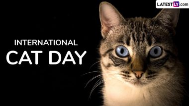 International Cat Day 2024 Date, Theme, History and Significance: Know All About the Day That Raises Awareness for Cats