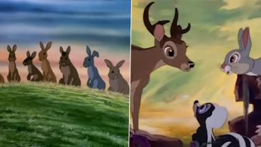 International Rabbit Day 2024: From ‘Watership Down’ to ‘Bambi,’ 5 Classic Movies To Binge Watch and Celebrate the Day (Watch Videos)