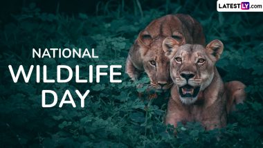 National Wildlife Day 2024 Quotes and Slogans: Share Wildlife Conservation Sayings, HD Images and Messages To Honour Environmentalist Steve Irwin