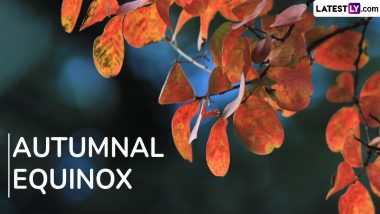 September Equinox 2024 Date and Time: When Is the First Day of Fall? Autumnal Equinox Meaning, Significance and Other Details Explained