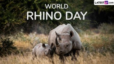 World Rhino Day 2024 Date: Know Significance of the Day That Calls for Protection and Conservation of Rhinoceros