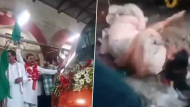 Uttar Pradesh: BJP MLA Sarita Bahdauriya Falls on Railway Track While Flagging Off Agra-Varanasi Vande Bharat Train in Etawah (Watch Video)