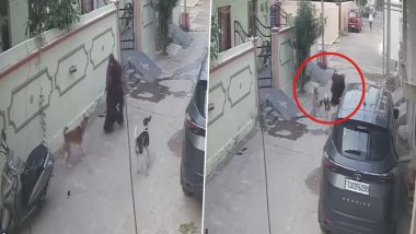 Dog Attack in Telangana: Woman Heroically Saves Her Child From Pack of Stray Dogs in Karimnagar, Video Surfaces