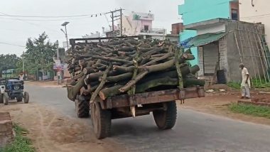 Haldwani: 3 Forest Personnel, Including Ranger Injured in Encounter With Suspected Wood Smugglers in Uttarakhand