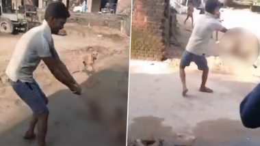 Badaun: Man Brutally Spins and Throws Stray Dog on Ground in Uttar Pradesh, Probe Launched After Disturbing Video Goes Viral