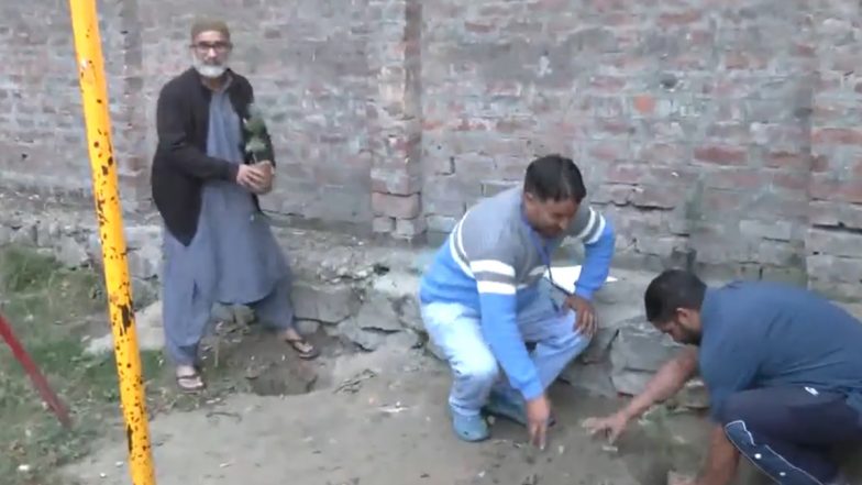 Jammu and Kashmir Assembly Elections 2024: First 3 Voters Plant Saplings After Casting Ballots in Ganderbal Constituency (Watch Videos)