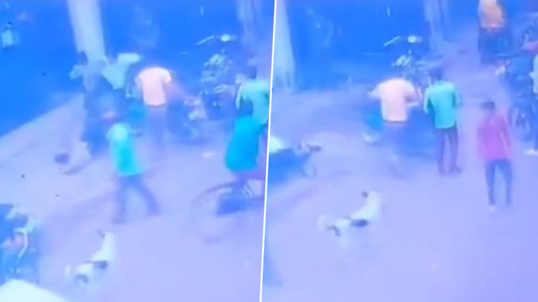 Lucknow: Man Injured After 5 to 6 Goons Brutally Attack Him in Alambagh, Police Reacts After Disturbing Video Surfaces