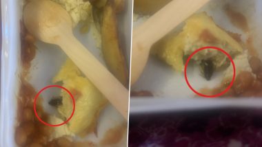 Air India Passenger Finds Cockroach in Food Served on Delhi-New York Flight AI 101; Airline Expresses Concern (Watch Video)