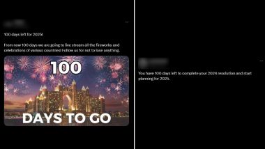 100 Days To New Year 2025: Netizens Start Countdown To Happy New Year With Positive Tweets, Photos and Hopeful Messages