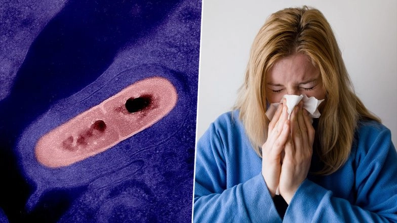 What Is Listeria Infection? All You Need To Know About the Foodborne Illness