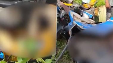 Damoh Road Accident Video: 7 Dead, 5 Critically Injured in Truck and Auto-Rickshaw Collision in Madhya Pradesh, Incident Sends Shockwaves Among Commuters