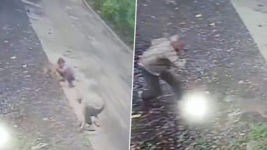 Jackal Attack in Sehore: 2 Severely Injured After Wild Animal Pounces on Them in Madhya Pradesh, Horrific Video Surfaces