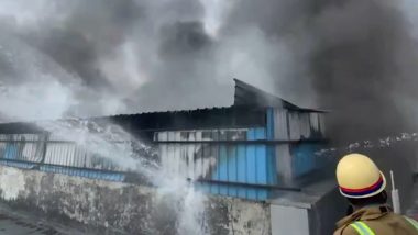 Lucknow Fire: Blaze Erupts at Commercial Building in Uttar Pradesh’s Kaiserbagh Area, No Casualties Reported (Watch Video)