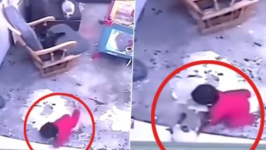 'Cat Better Than the Parents': Feline Saves Baby from Falling Down Stairs, Hailed as a Hero by Netizens; CCTV Footage Surfaces