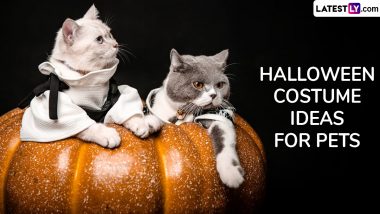 Happy Halloween 2024! Adorable Costume Ideas To Dress Your Pets on the Spooky Festival