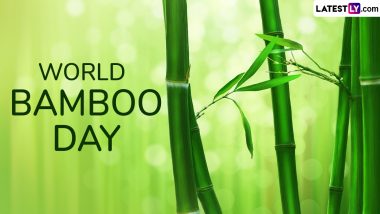 World Bamboo Day 2024 Date: Know Significance of the Day That Raises Awareness About Bamboo To Promote Its Sustainable Use