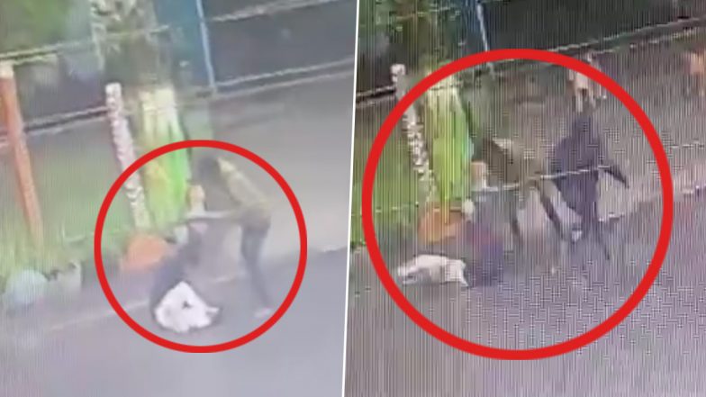 Pune Shocker: Man Brutally Assaulted on Busy Road, Attack Caught on CCTV Camera (Disturbing Video)