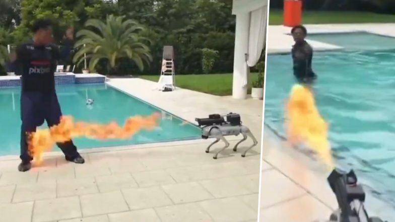 IShowSpeed Set on Fire After His Robot Dog Shoots Flames at Him Multiple Times During Livestream, YouTuber Jumps Into Pool To Escape (Watch Viral Videos)