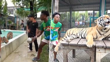 ‘Help Me,’ IShowSpeed Nearly Gets Attacked by Tiger After He Makes Close Approach to the Animal During Thailand IRL Stream, Watch Viral Videos