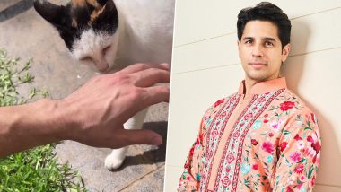 Sidharth Malhotra’s Adorable Encounter With His ‘Itchy Friend’ Will Warm Your Heart! (View Pic)