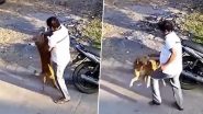 Dog Attack Video: Stray Dog Suddenly Attacks Man After Minute of Petting, Shocking Clip Surfaces