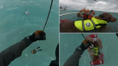 Hurricane Helene: US Coast Guard Rescues Man and Dog from Disabled Sailboat, Viral Video Surfaces