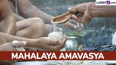 Amavasya October 2024 Date: When Is Mahalaya Amavasya? Know Shraddha Ritual Timings, Amavasya Tithi and Significance To Pay Homage to Ancestors