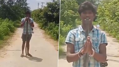 Kamareddy Viral Video: Stunt With Snake Proves Fatal, Youth Dies After Getting Bitten by Cobra in Mouth in Telangana