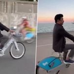 MK Stalin Rides Bicycle Near Lake Michigan in Chicago During Busy US Trip, Video Draws Reaction From Rahul Gandhi