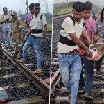 ‘An Example of Humanity’: Loco Pilot Halts Goods Train To Rescue Injured Crocodile on Railway Tracks in Gujarat, Western Railways Praises Act (See Pics)