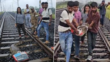 ‘An Example of Humanity’: Loco Pilot Halts Goods Train To Rescue Injured Crocodile on Railway Tracks in Gujarat, Western Railways Praises Act (See Pics)