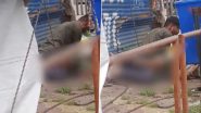 Ujjain Rape Horror: Man Sexually Assaults Woman on Road, Onlookers Keep Recording Videos (Disturbing Visuals)