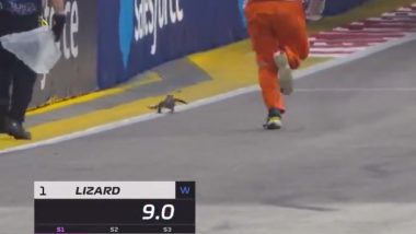 Singapore GP 2024: Spectators Go Crazy as Lizard Crashes On to Marina Bay Street Circuit, Beats Supports Staff in ‘Race’