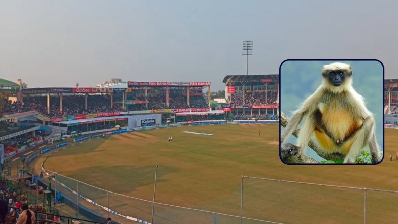 UPCA Hire Langurs and Their Handlers To Prevent Monkey Menace at Kanpur’s Green Park Stadium During IND vs BAN 2nd Test 2024: Report