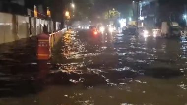 Mumbai Rains: 45-Year-Old Lady Drowns in Open Drain in MIDC Area of Andheri