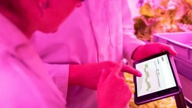 Business News | Cabinet Approves Digital Agriculture Mission with Rs 2,817 Crore Outlay