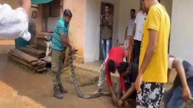 India News | 11-ft-long King Cobra Rescued from Odisha's Mayurbhanj