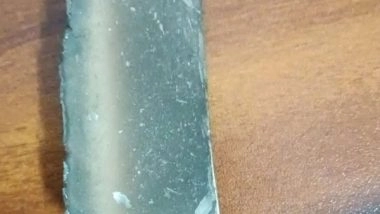 India News | DGCA Orders Inquiry After Pieces of Metal Falls from Aircraft at Residential Society Near Delhi Airport