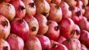 Business News | APEDA Delivers First Consignment of Indian Pomegranates from Mumbai to Melbourne