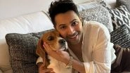 Entertainment News | Check out Who is This 'Vyakti' Whom Varun Dhawan is Missing