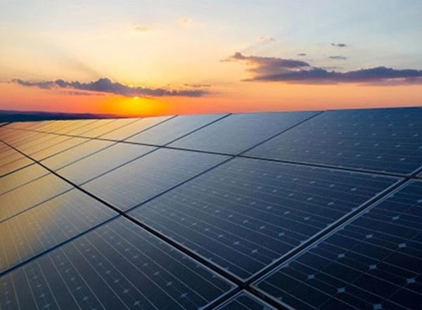 World News | Germany Supports Renewable Energy Transition in India