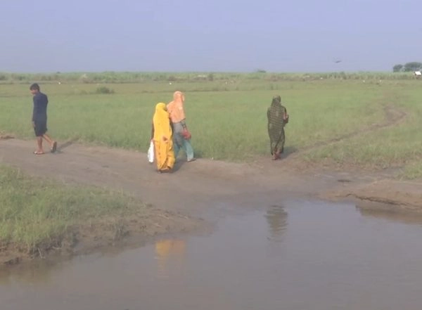India News | Uttar Pradesh: Search Operation Underway in Bahraich to Catch Remaining Two Wolves