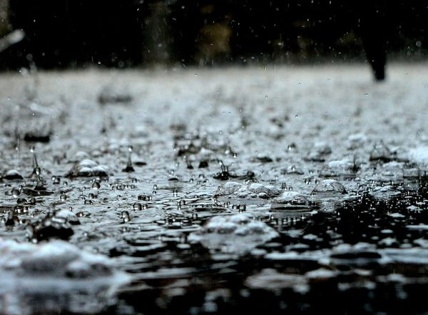 World News | Pak: Khyber Pakhtunkhwa's 1st Ever Marathon Marred by Mismanagement Due to Rain