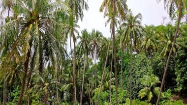 India News | Multi-tier Coconut Farming Practice to Raise Financial Status of Farmers in Bastar Region