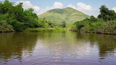 Business News | Healing India's Water Crisis: The Art of Living's Pioneering Solutions