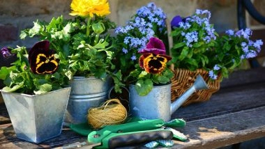 Business News | Flowers and Mental Health: Exploring the Positive Effects of Gardening and Floral Therapy